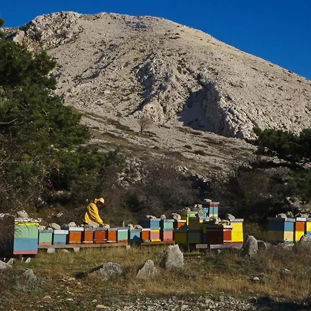 Art House Casa de Férias Stara Baška
