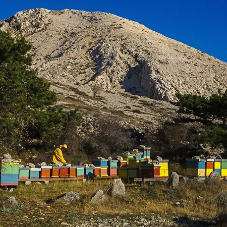 Tatil Evi Art House Stara Baška